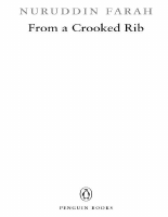 Crooked ribe.pdf